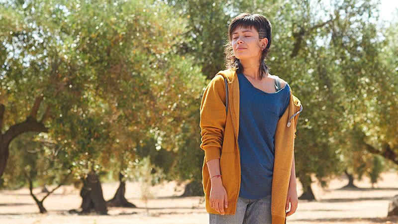 Dvd: 'El olivo' y 'Bruja, más que bruja'