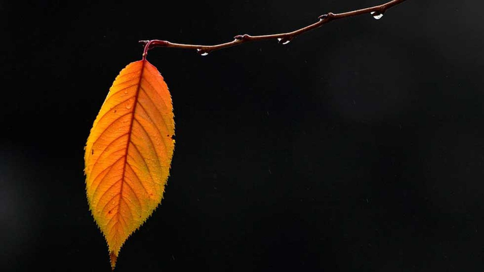 El Tiempo en la Comunidad de Madrid - 18/11/16