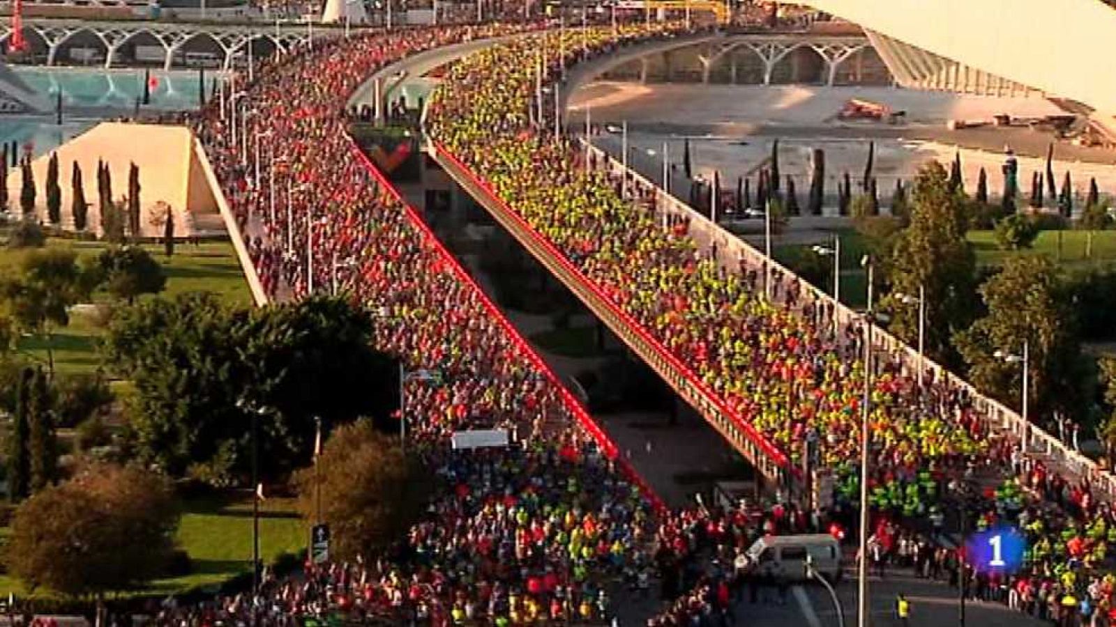 L'Informatiu - Comunitat Valenciana 2 - 18/11/16 - ver ahora