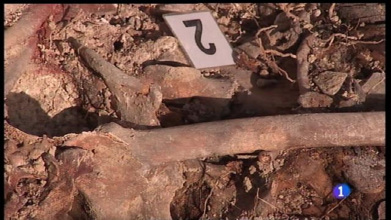 Acaba l'exhumació de la fossa de Porreres