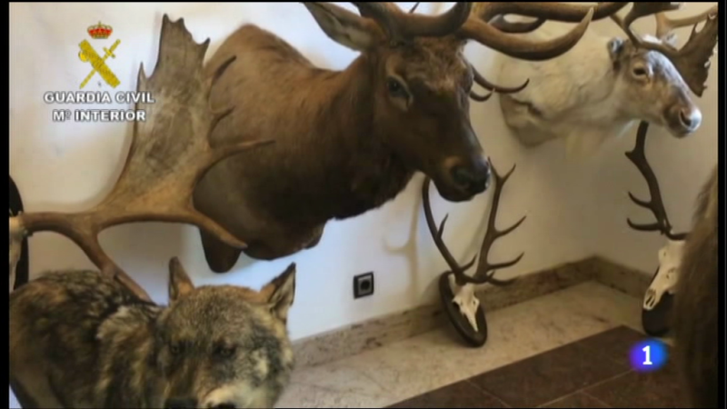 Informativo Telerioja 2 - 18/10/16 | Ver