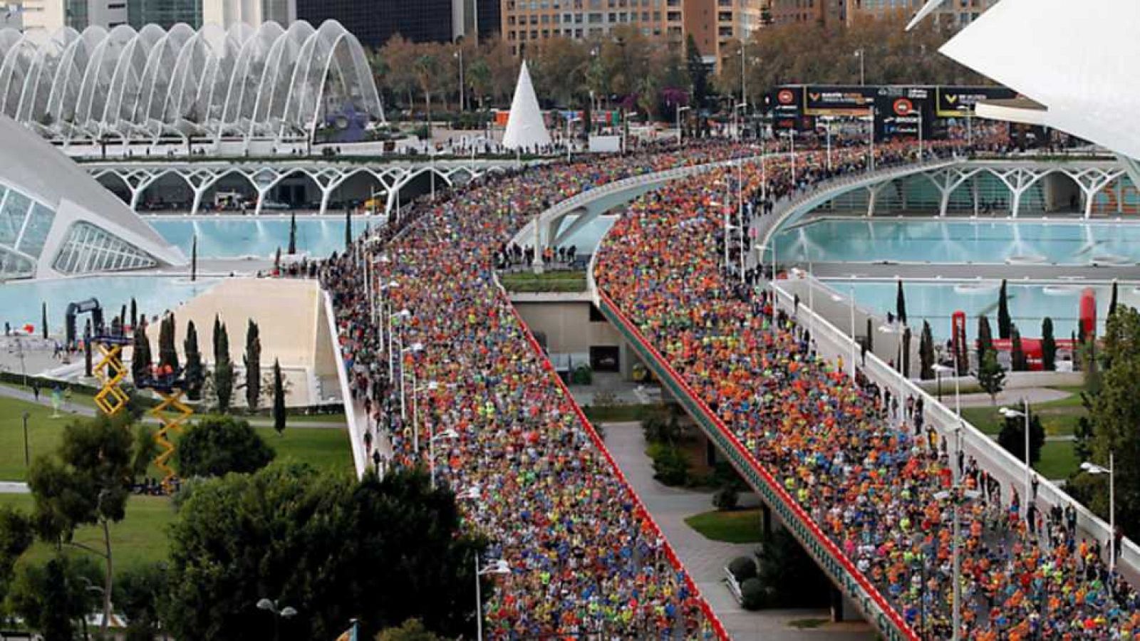Atletismo: Maratón Valencia 'Trinidad Alfonso 2016' - ver ahora