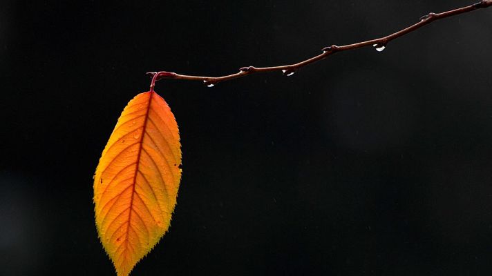 El tiempo - Lluvia persistente y rachas de viento fuerte en numerosas zonas de la península