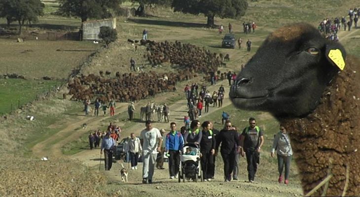  - Trasterminancia en Extremadura
