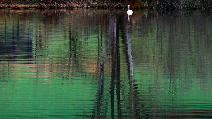 Informativo de Madrid - El Tiempo en la Comunidad de Madrid - 21/11/16