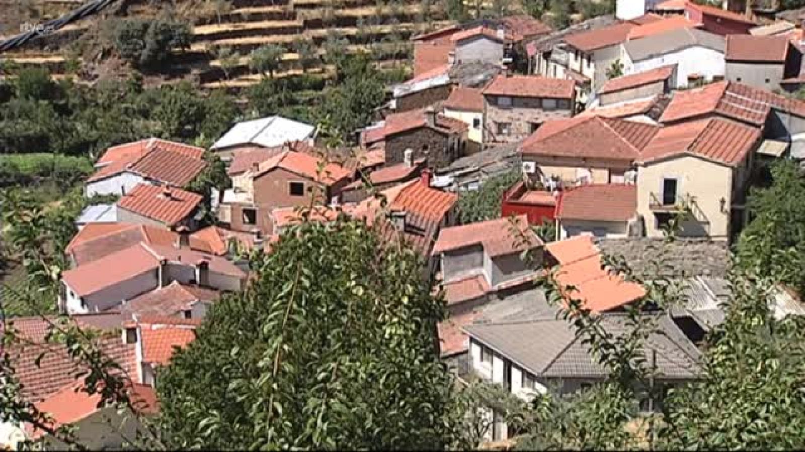 111 millones de euros para mejorar economía y empleo de municipios | Ver