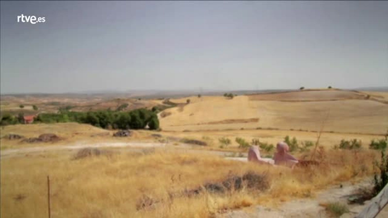 Millennium reportaje