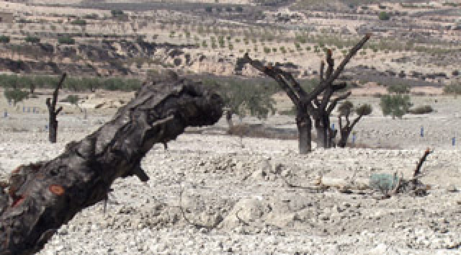 Repor - Expediente avioneta - Avance