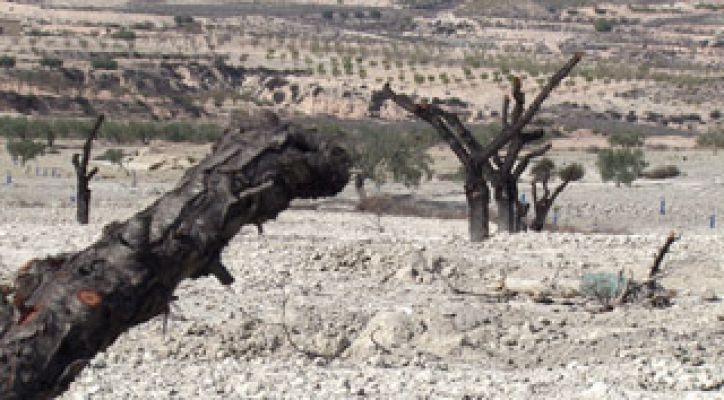 Repor - Expediente avioneta - Avance