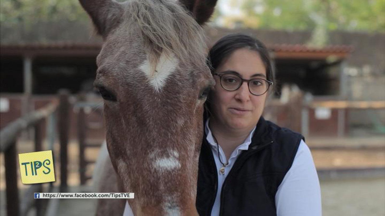 TIPS - Vida sana - Terapia con caballos