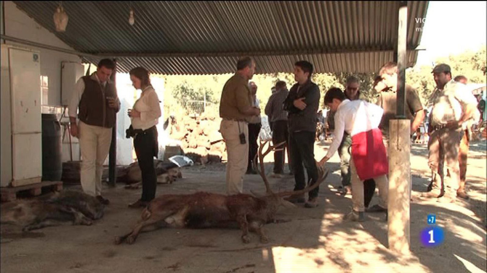Comando Actualidad - Las cacerías - Reportaje