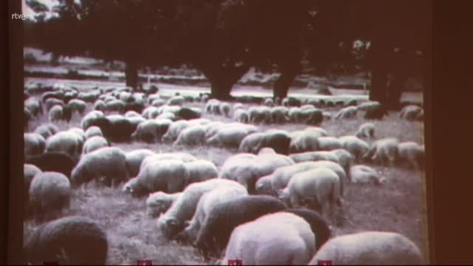 MEMORIA HISTÓRICA "LOS YUNTEROS DE EXTREMADURA"