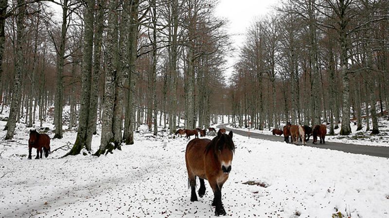Lluvias fuertes en Galicia y sur de Andalucía, y nevadas en noroeste