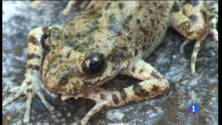 Informatiu Balear - Alerten del risc d'obrir zones protegides de Tramuntana