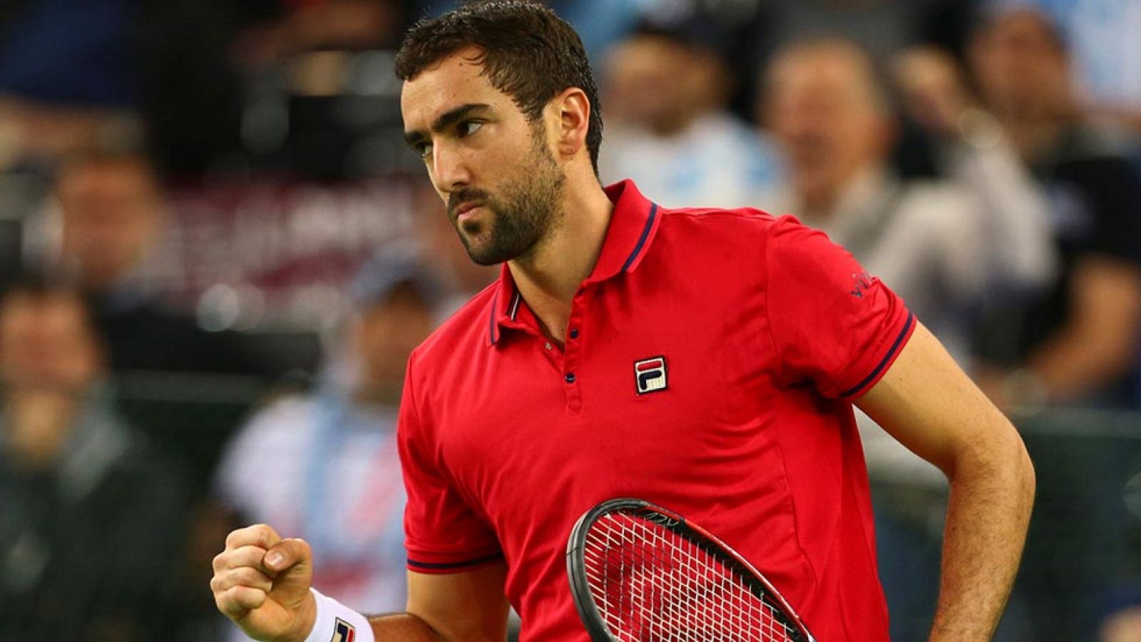 Cilic da el primer punto a Croacia | Ver