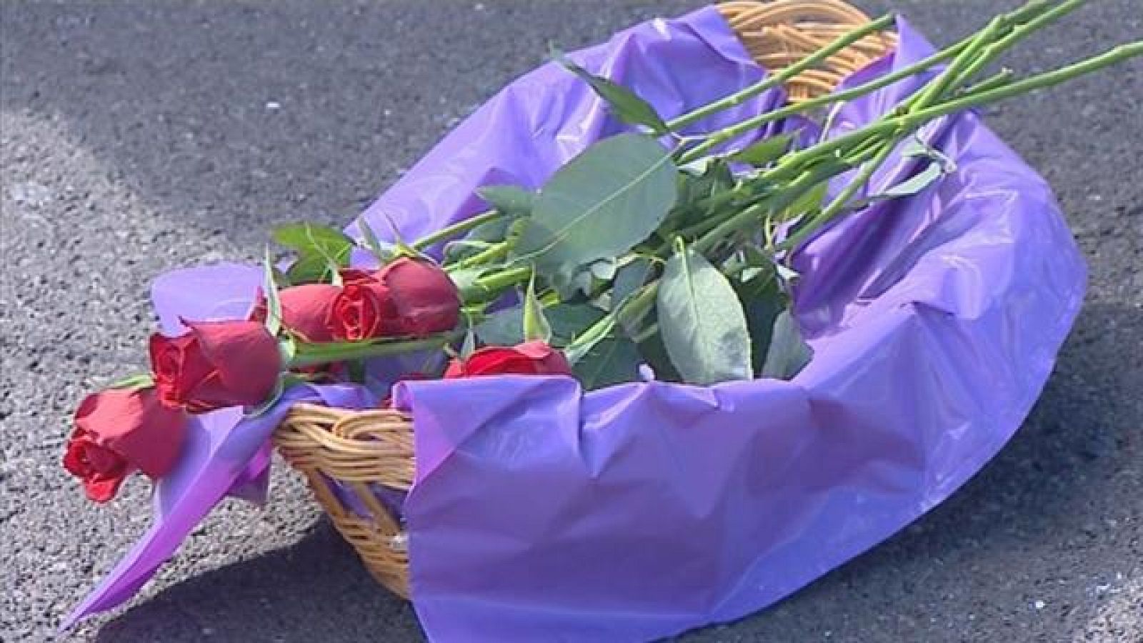 Telecanarias - 25/11/2016