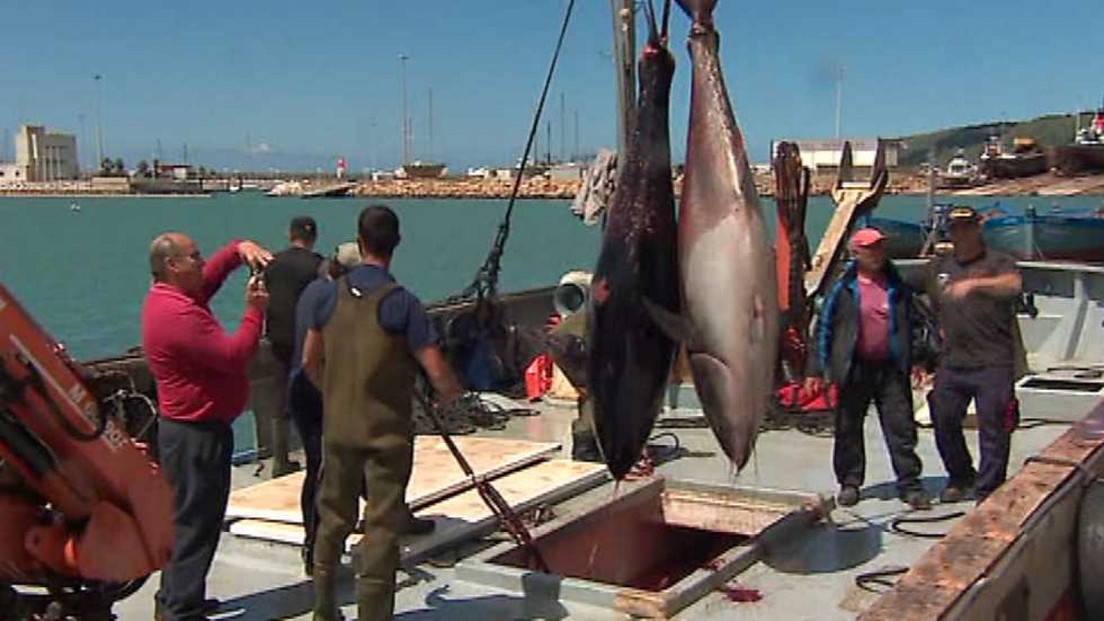 Agrosfera - 26/11/16 - ver ahora