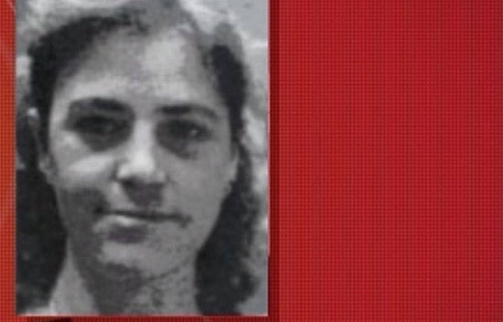 Detienen a dos presuntos etarras en Francia | Ver