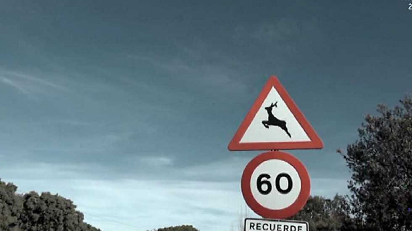 Seguridad Vital - 27/11/16 - ver ahora