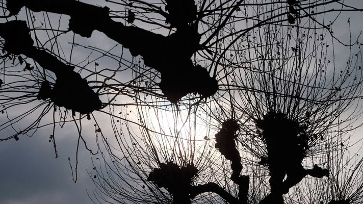 El tiempo - Cielo nuboso o cubierto en el Levante peninsular, Baleares, área del Estrecho y Melilla