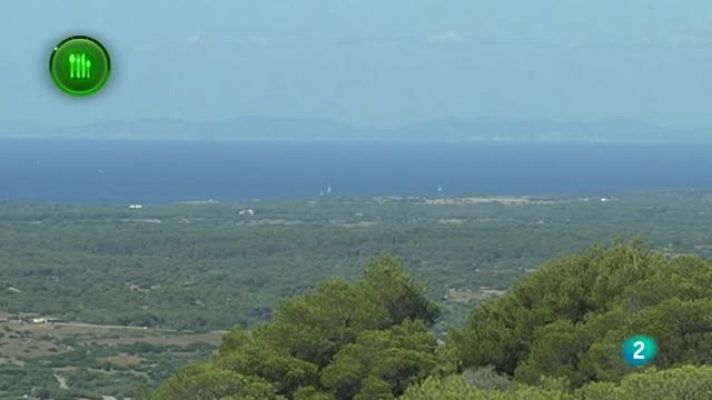 Agrosfera - Queso Cala Blanc
