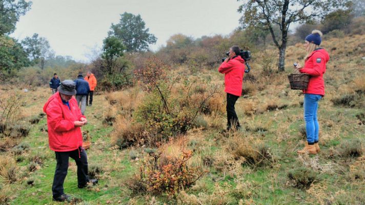 Aquí la Tierra - ¿Nos vamos de setas?
