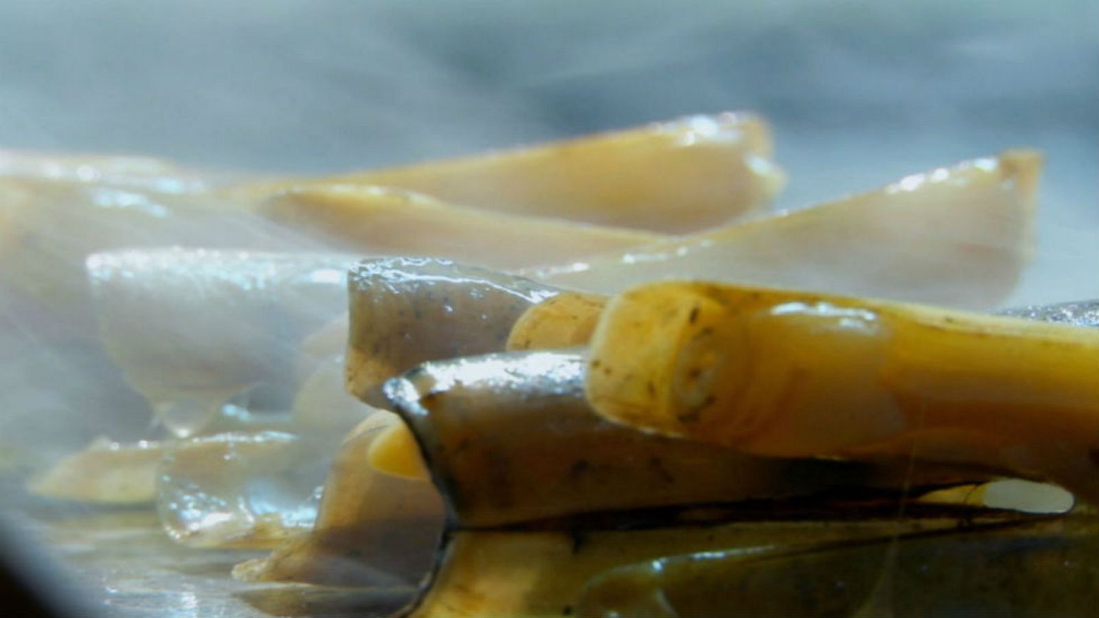 Siempre nos quedará el chiringuito