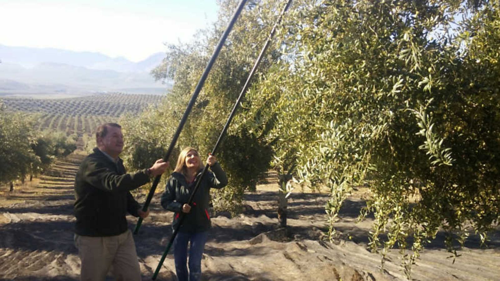 Aquí la Tierra - 28/11/16 - ver ahora