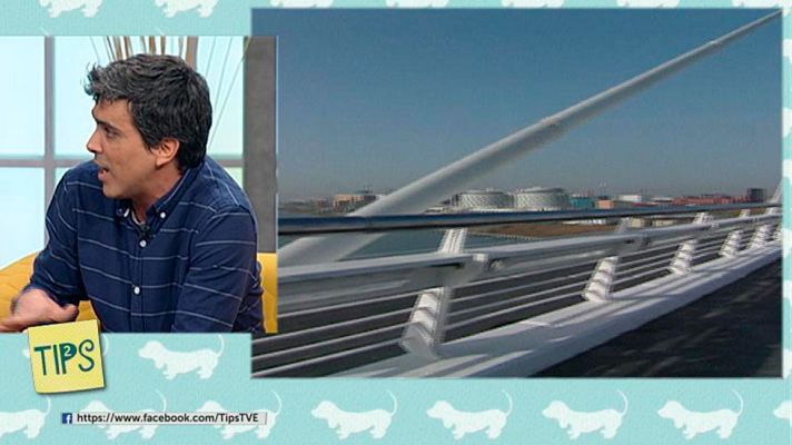 Tips - Interiorismo -Santiago Calatrava