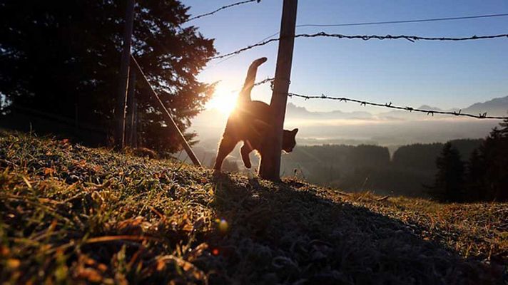 Informativo de Madrid - El Tiempo en la Comunidad de Madrid - 29/11/16