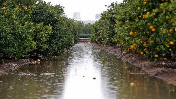 L'informatiu - Comunitat Valenciana - L'Informatiu - Comunitat Valenciana - 29/11/16