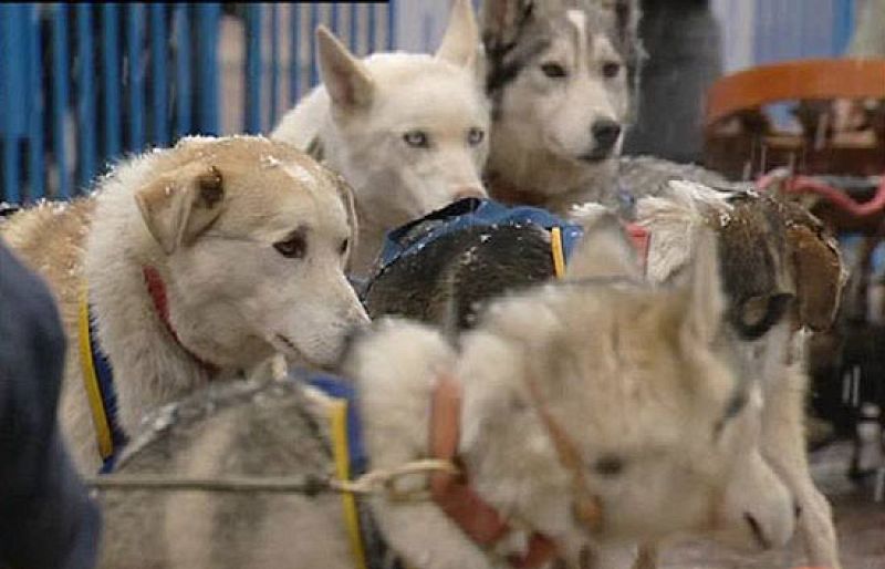 Como todos los años vuelve Pirena. Esta edición 2009 ha sido presentado en el centro de Madrid.