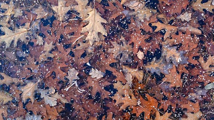 El tiempo - Cinco provincias del sur en riesgo por vientos y oleaje