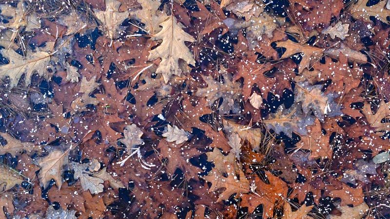 Cinco provincias del sur en riesgo por vientos y oleaje