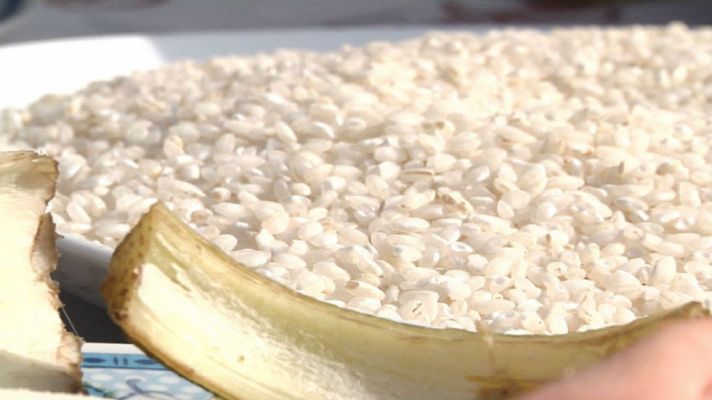 Aquí la Tierra - Arroces de invierno