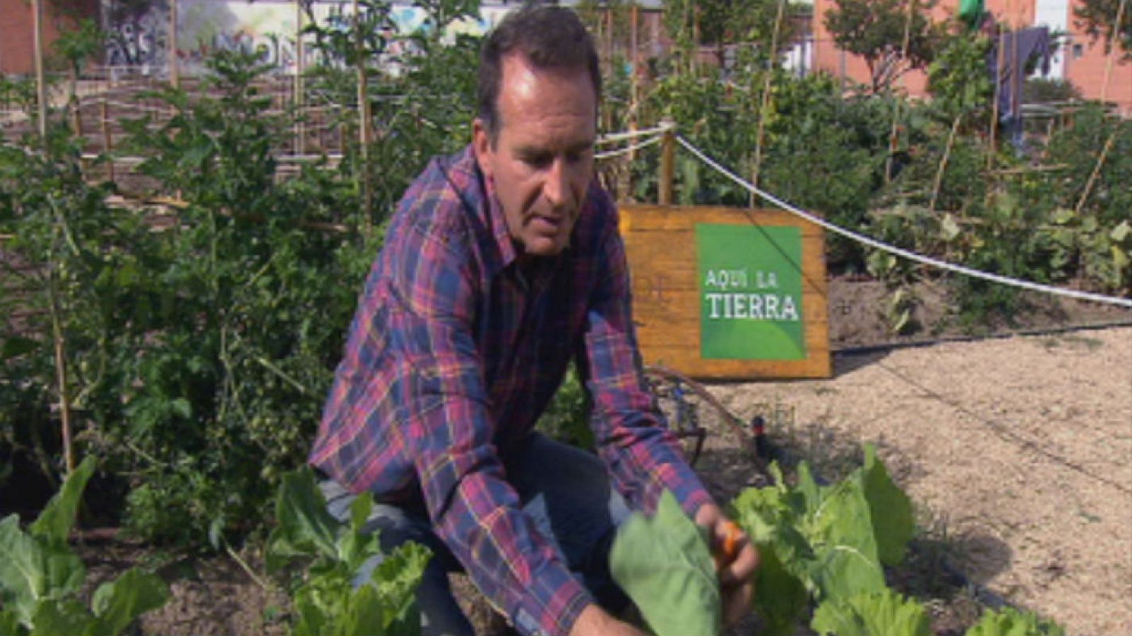 Berza, un básico del norte