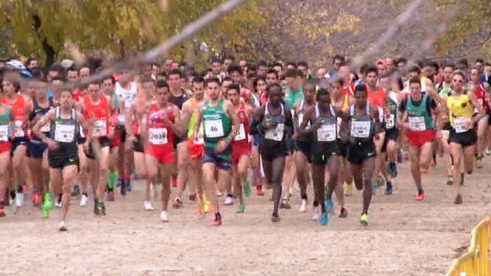Cross - Internacional de Alcobendas - ver ahora