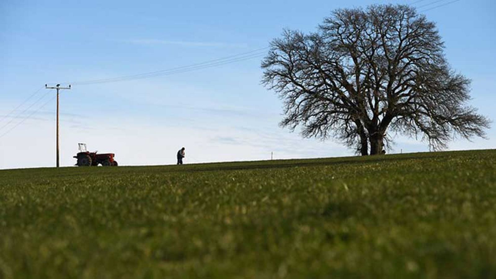 El Tiempo en la Comunidad de Madrid - 02/12/16