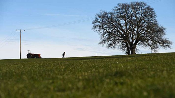 Informativo de Madrid - El Tiempo en la Comunidad de Madrid - 02/12/16