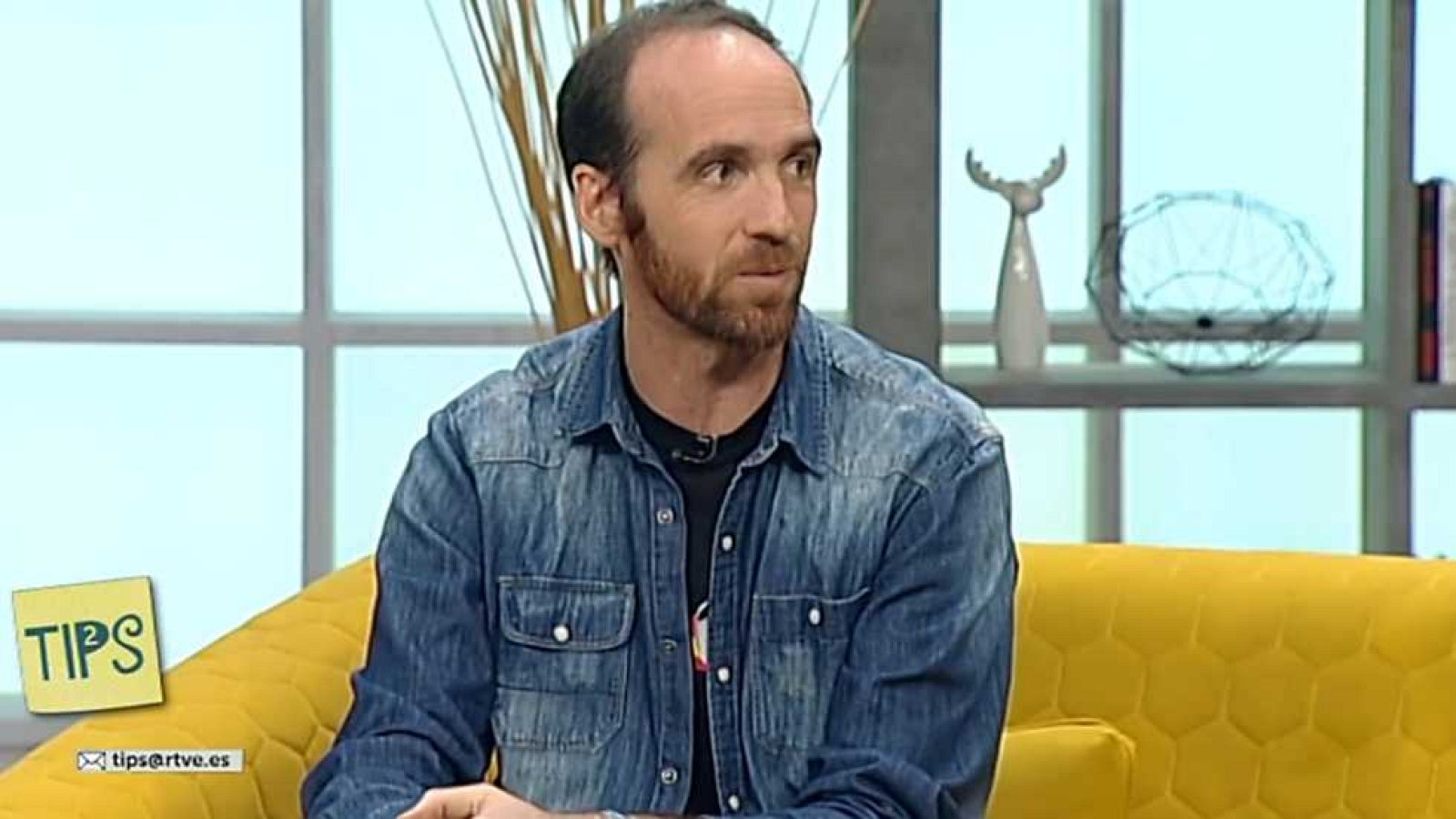 Tips - 02/12/16 - ver ahora