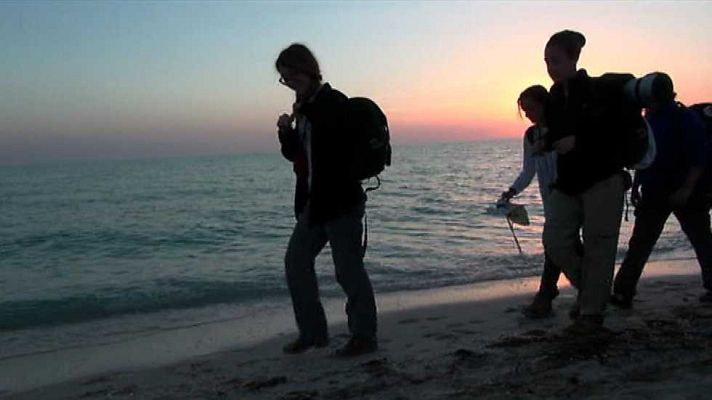 La ruta Quetzal - La playa de las tortugas sagradas