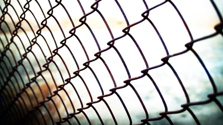 Telediario 1 - Investigan el asalto a la Protectora de Animales de Valencia