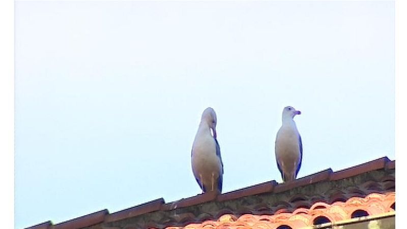 El tiempo en Asturias - 05/12/16 | Ver