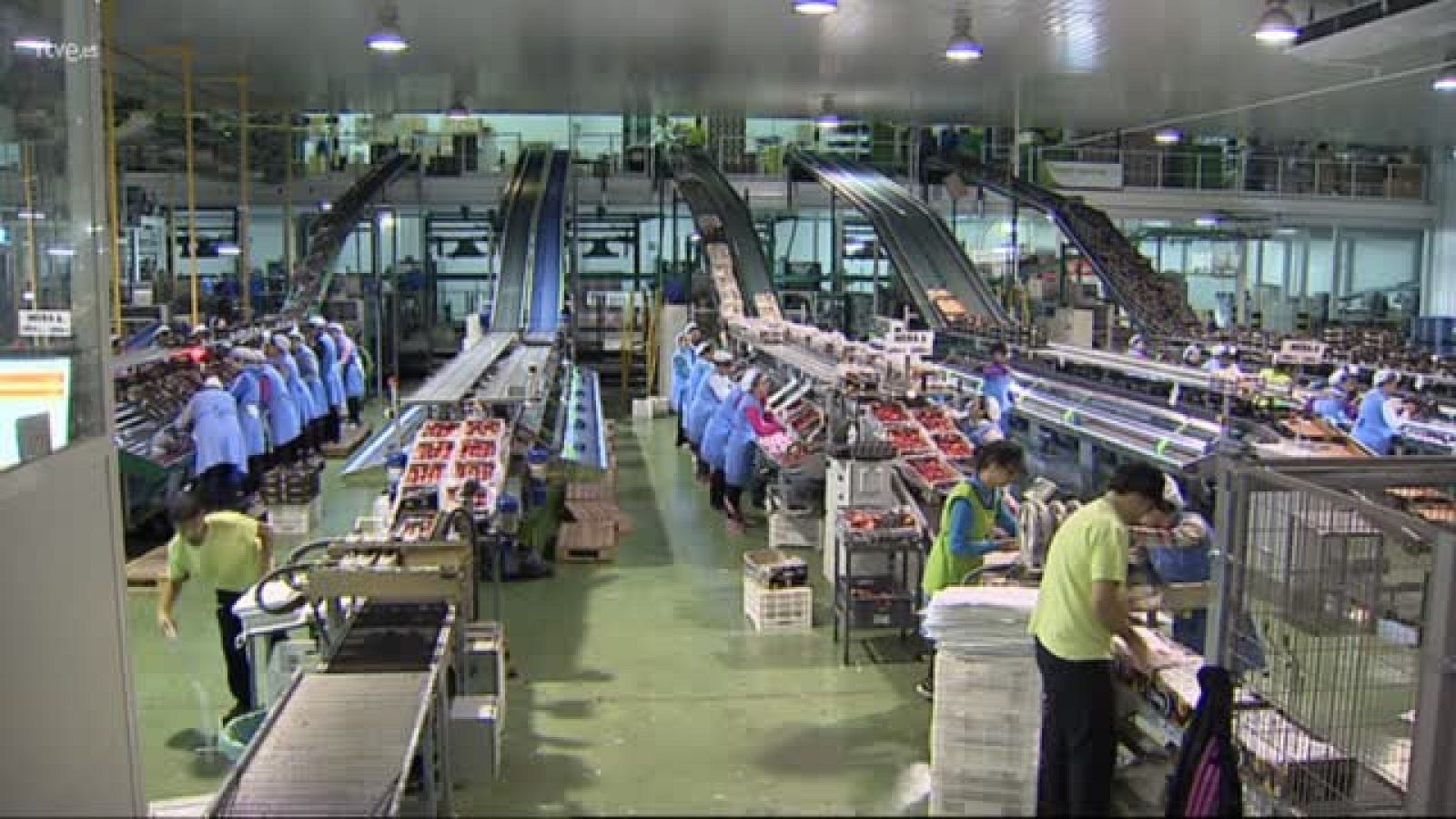 Estrategia economia social en Extremadura