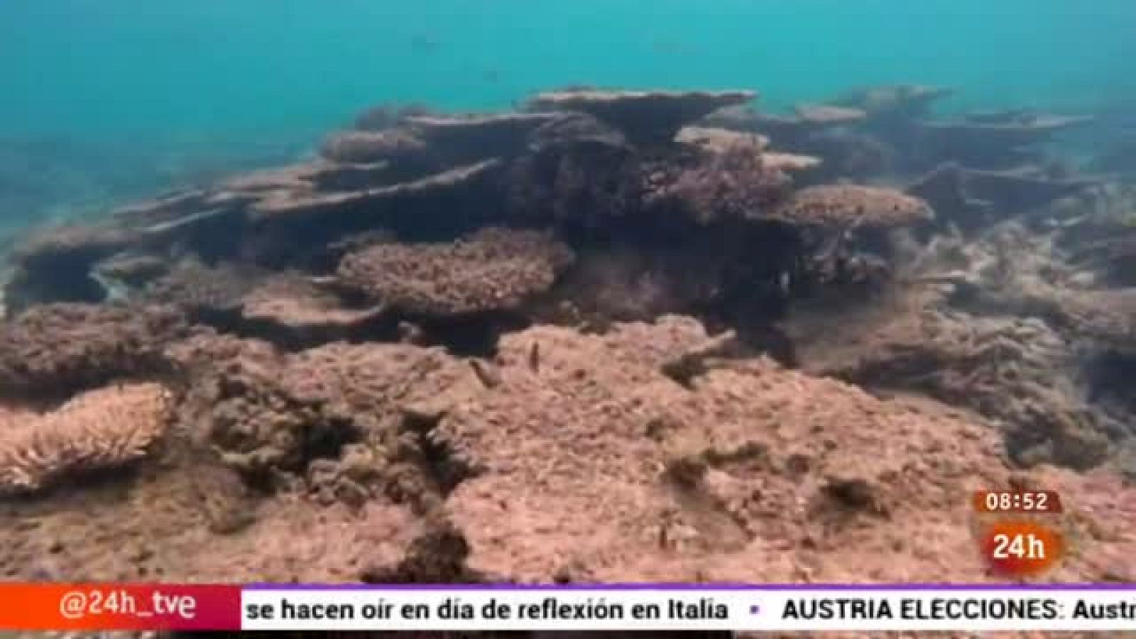 Cambio climático y salud