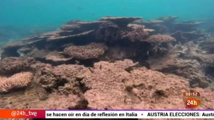 Europa - Cambio climático y salud