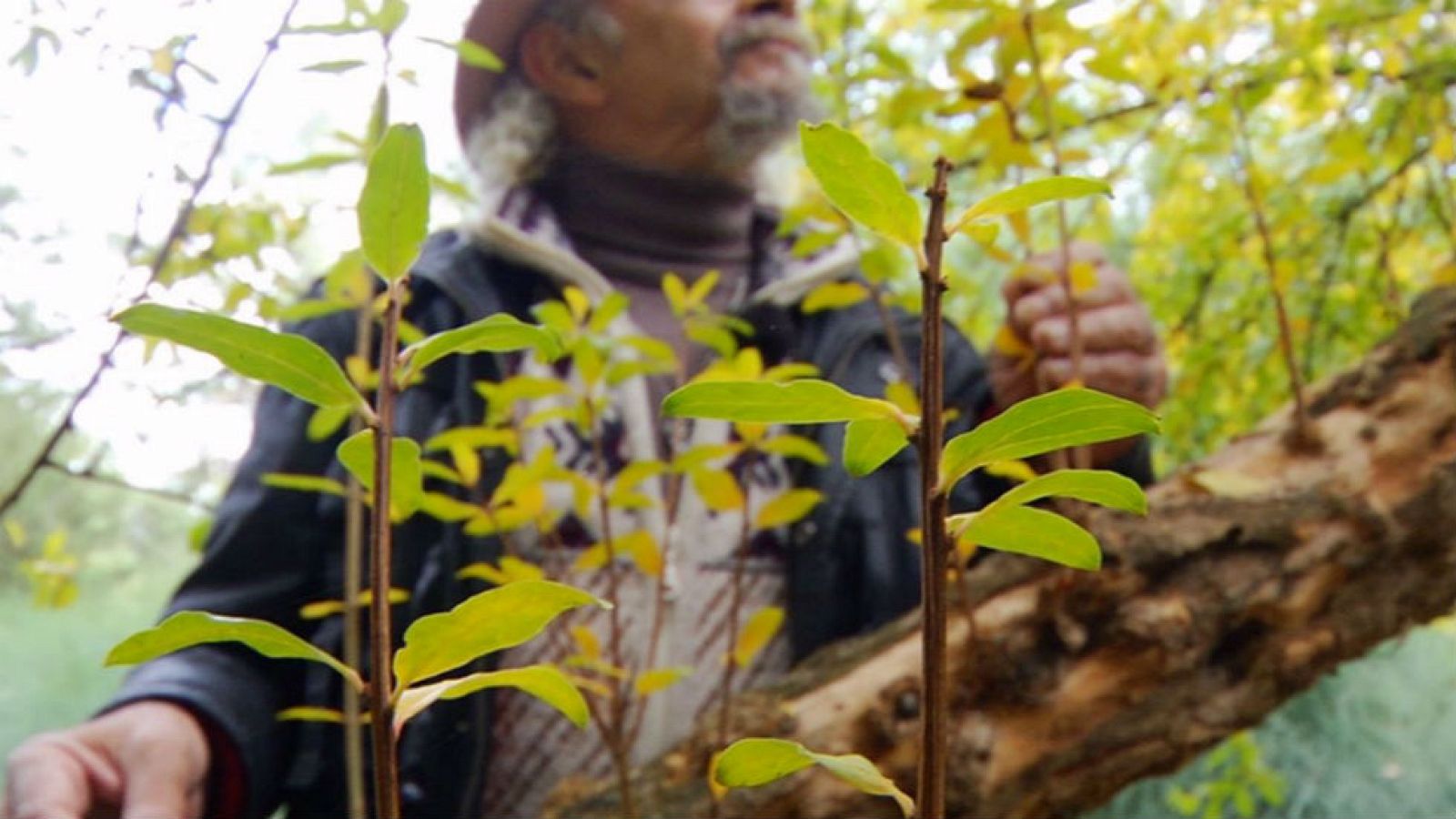 El botiquín de invierno