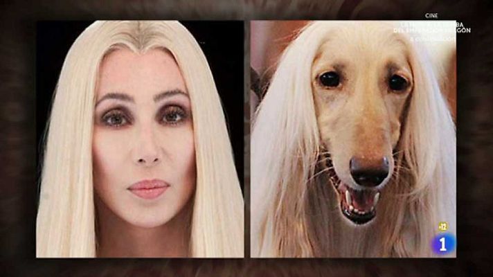 Hora punta - Hora punta - 06/12/16