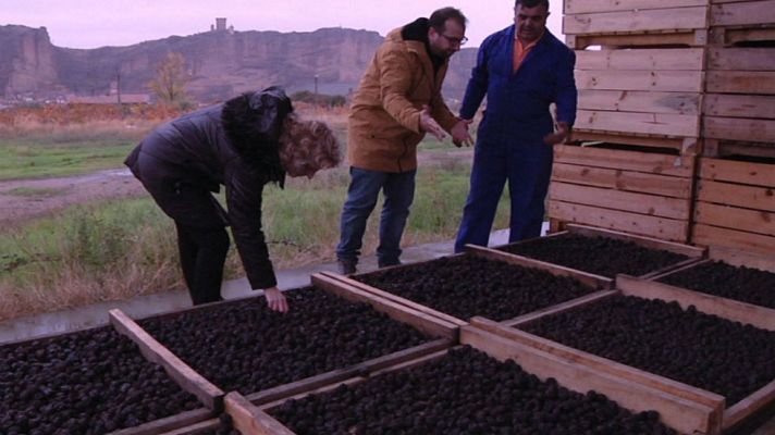 Aquí la Tierra - Ciruelas pasas, símbolo de la Navidad