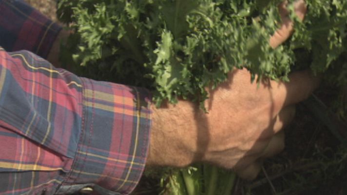 Aquí la Tierra - La escarola, una súper heroína